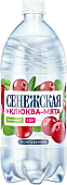 Вода Сенежская 1,0л газ. клюква-мята
